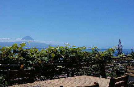 Casa do Zé - AL - Photo 5