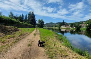 LA TRABOULE Maison de ville avec extérieur - Foto 41