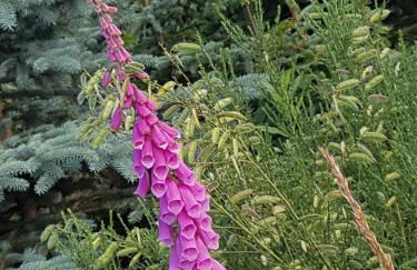 Pilgrims "Franz" großzügige Unterkunft Sauerland - Foto 21
