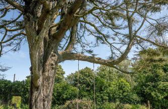 Country Retreat Sleeping 15 - Bron Menai - Foto 71