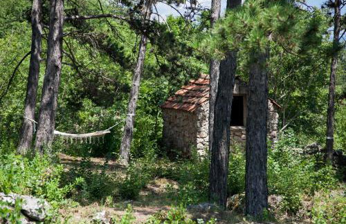 Apartment Tanja - Foto 42