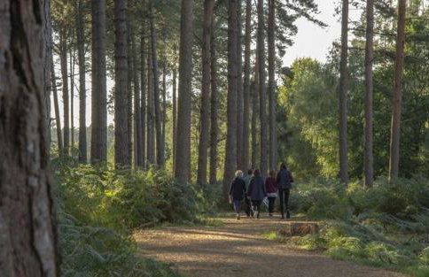 NEW Tendaka Stylish Hideaway - Photo 16