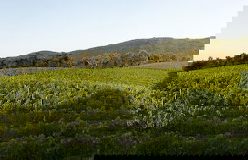 Agriturismo Villa Borgeri - Foto 23