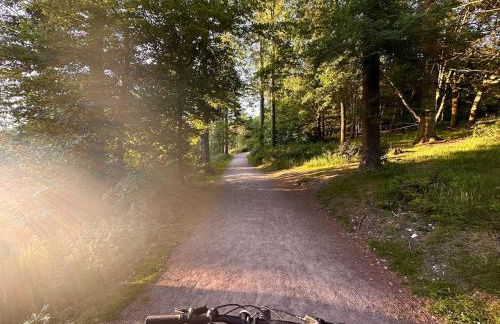 Chiltern Studio - Foto 20