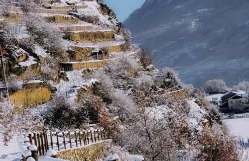 LES VIGNES - Appartamenti vacanze Valle d'Aosta - Foto 29