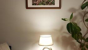 Przystan Zegrze - Foto 5