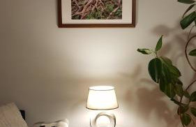 Przystan Zegrze - Foto 5