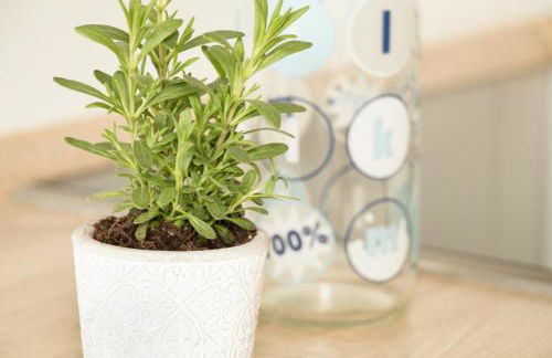 Auf'm Reifnhof - Foto 63