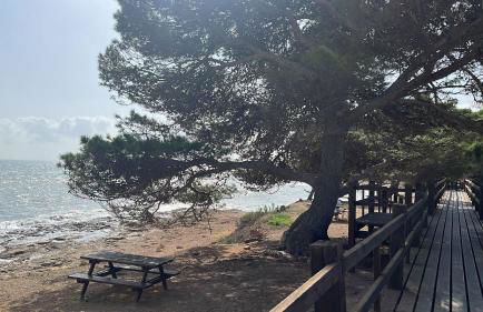 Lo Petit Delta - Foto 38