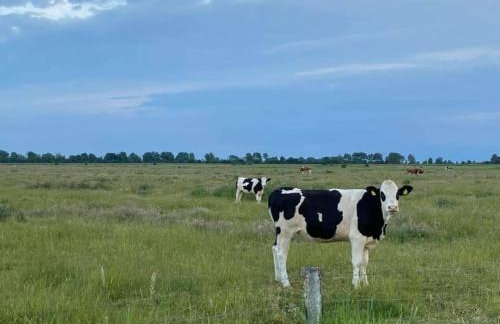 Ferienwohnung Eiderblick - Photo 11