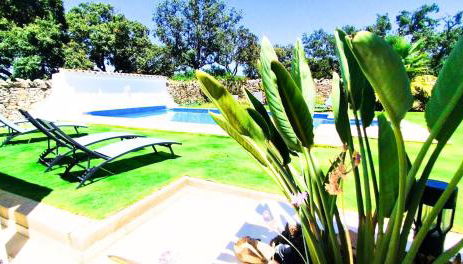 Quinta Azul - Foto 5