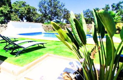 Quinta Azul - Foto 5