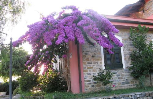 Agriturismo La Vigna - Foto 33