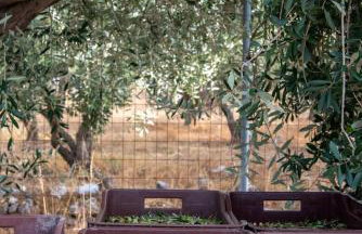 Giannakos Apartments - Foto 46