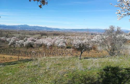 Las 3 Negrillas - Foto 43