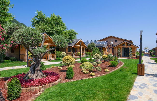 MUKHA ORMANLİ - Photo 1