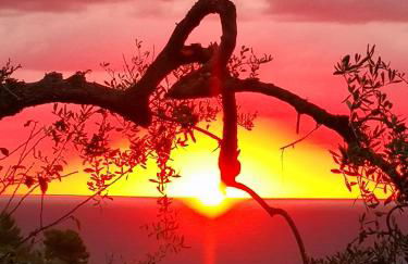 Florinda Lemon's Suite - Foto 49