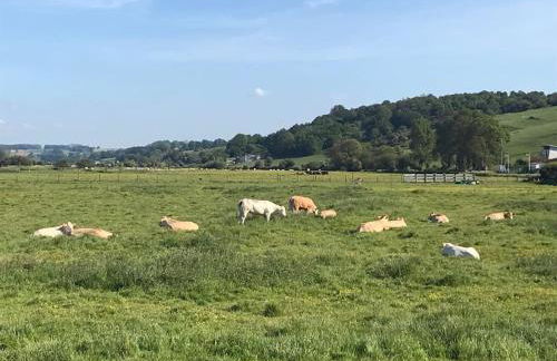 LES TAMARIS, Villa face à la mer, emplacement privilégié - Foto 39