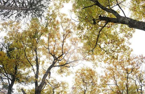 Charming Lakeside Lodging in Minocqua Perfect for a Nature Escape in Wisconsin - Foto 46