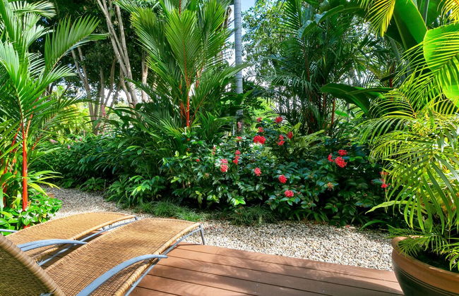 Port Douglas Apartments - Adults Only Oasis - Foto 77