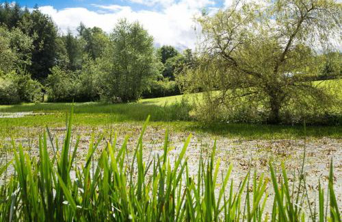 Blacksmiths Cottage - Photo 20