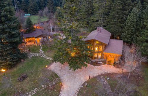 All Seasons Paradise - Photo 37