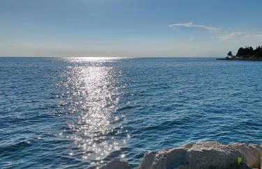 Apartman Istria Green - Foto 13