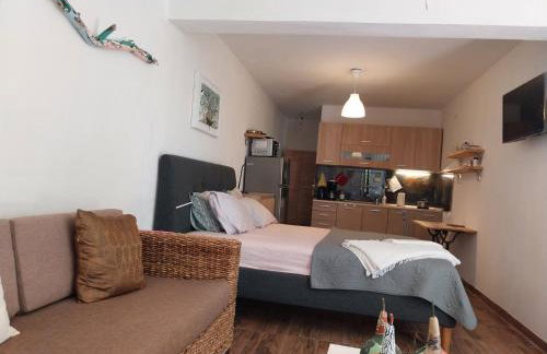 Panorama Studio Afetes - Photo 35