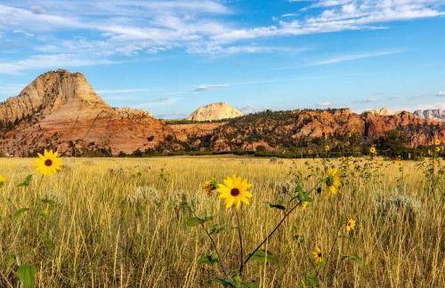 Zion's Tiny Getaway - Foto 80