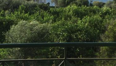 Lovely Appartments Lygia Korinthias - Foto 4