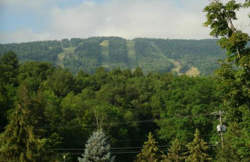 Townhouse W Private Deck & Mt View - Foto 55