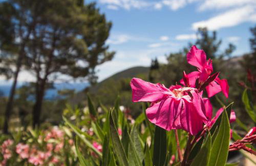 Apartments Nusret - Foto 10