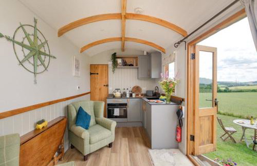 The Acorn - Luxury Shepherds Hut hot tub panoramic views - Foto 3