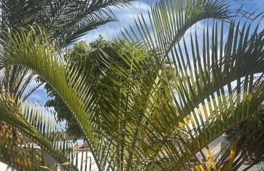 Villa La Hubara - Photo 29