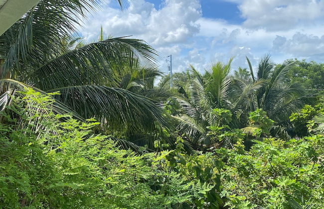 Atlantic View Luxury Villa with Pool - Foto 61