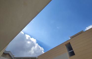 The Rabbit Hole - Photo 30