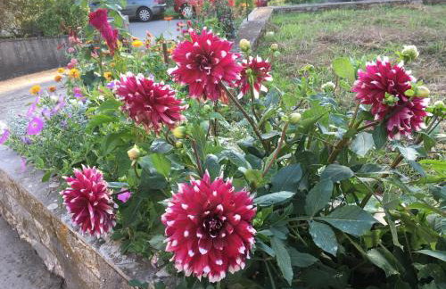 Holiday home Sandra - Foto 49