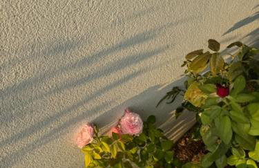 Angel Residence - Foto 32