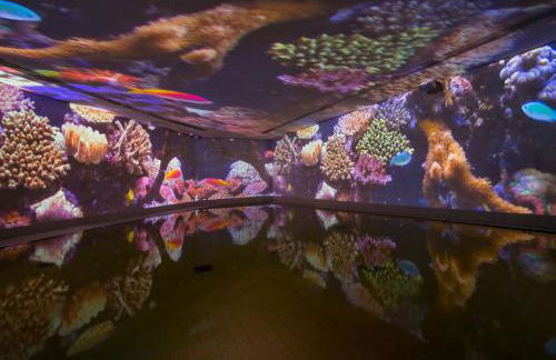 Ferienhaus Nadine 2023 komplett saniert - Foto 32