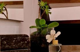 La Maisonette, Florina Center - Foto 33