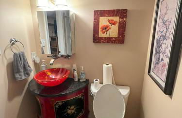 Charming 1-bedroom Basement Close to DC Pets Allowed - Photo 10