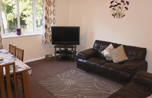 Kingfisher - 30788 - Foto 2