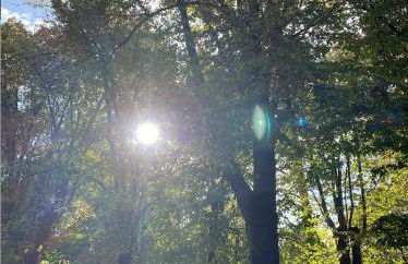 Agriturismo Barchessa - Foto 55