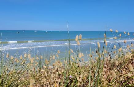 Gîte bord de mer - le Chardon - Foto 18