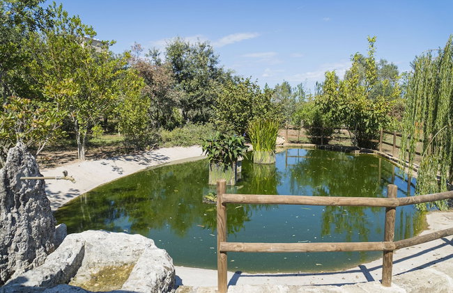Borgo Segine - Photo 77