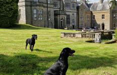 North Wing - Middleton Hall Estate - Foto 38