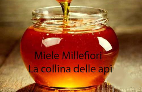 Agriturismo Floriani - Foto 34