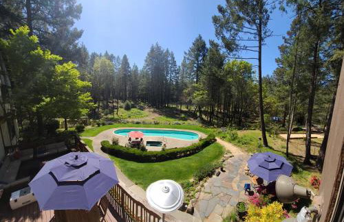 Luxury Napa Vineyard Estate 15 min from St. Helena - Foto 1
