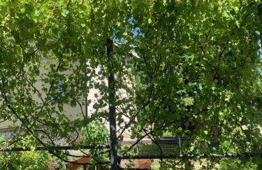 OG Apartman - Foto 30