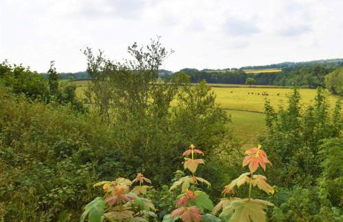 1 Bed in Cardigan oc-83918 - Foto 23